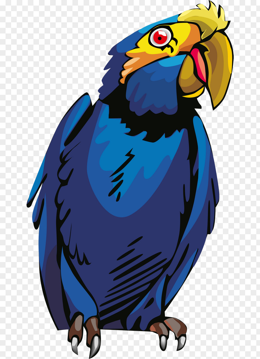Macaw Sina Corp Parrot Television Dance PNG