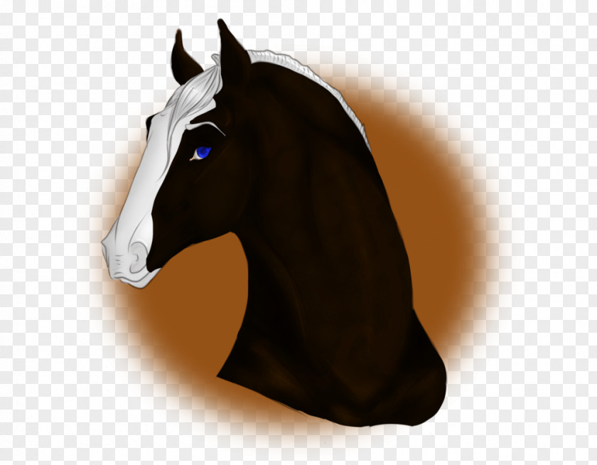 Mustang Stallion Halter Pony Rein PNG