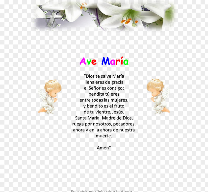 Ave Maria Contrition Lord's Prayer Catholicism Creed PNG