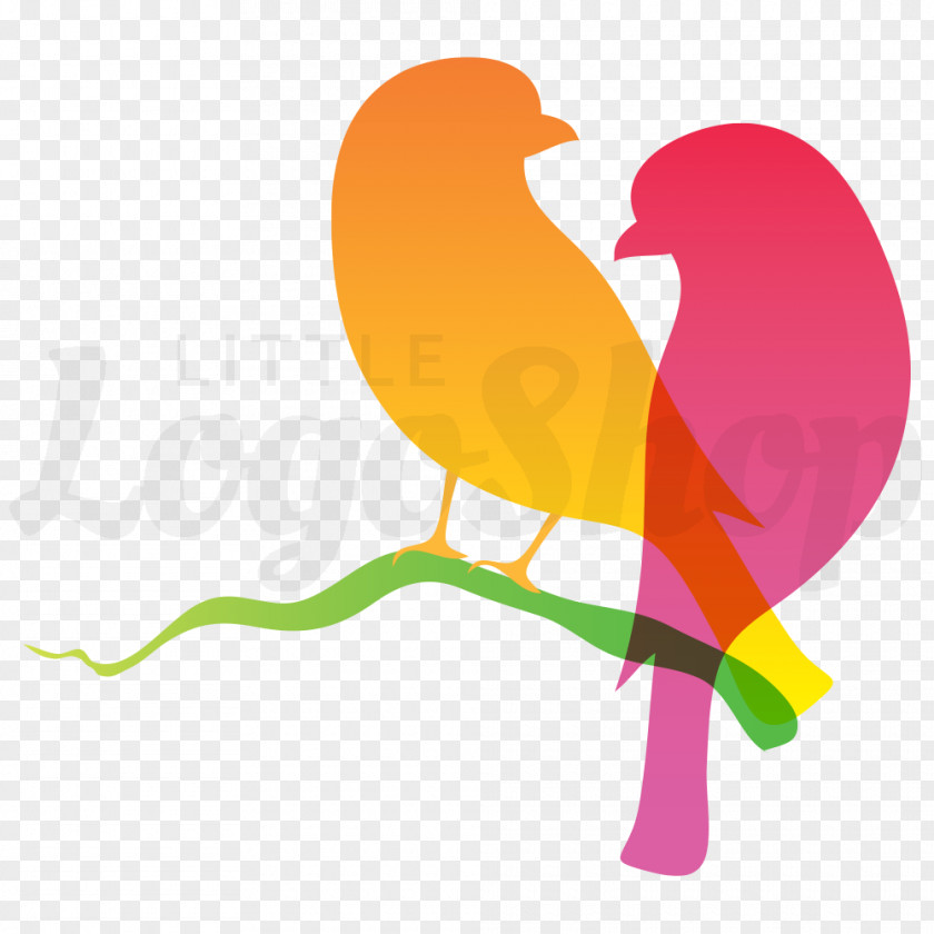 Love Birds Lovebird Logo Parrot PNG