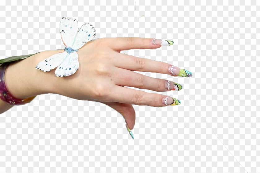 Nail Shoumo Manicure Hand Model PNG