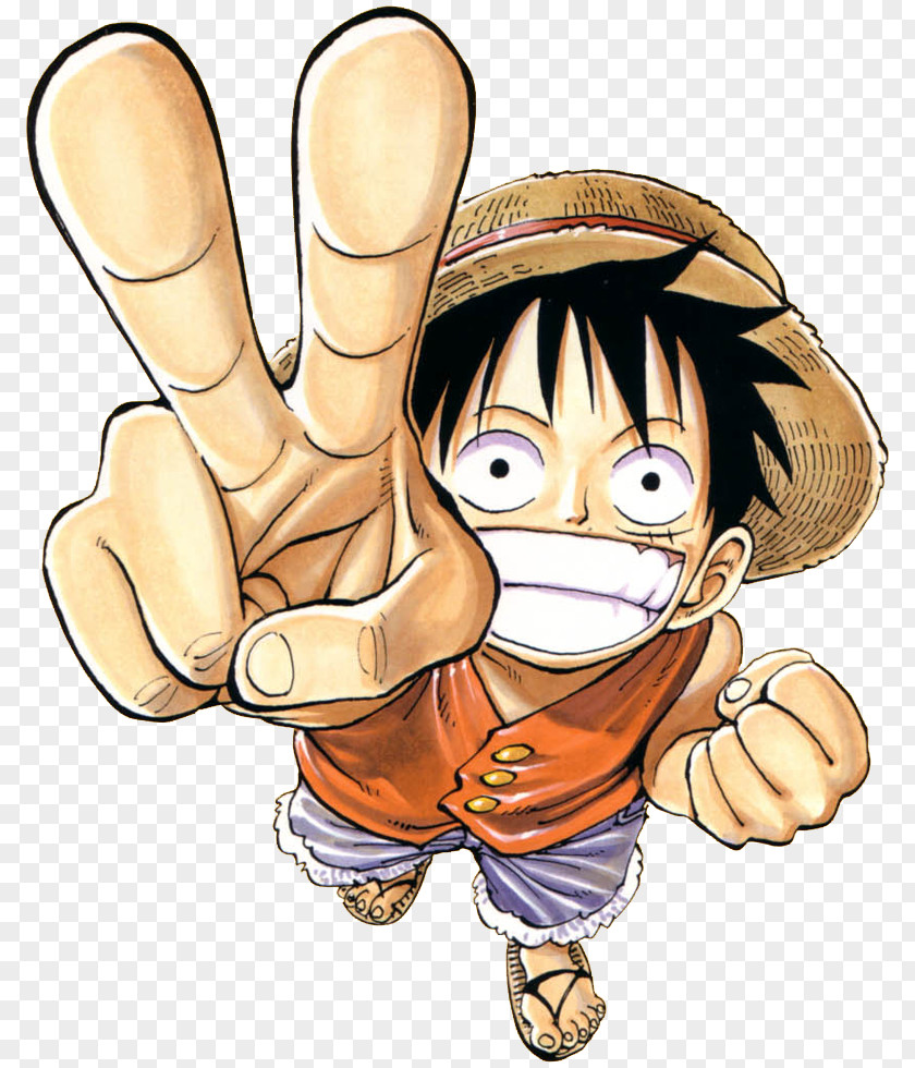 One Piece Monkey D. Luffy Portgas Ace Nami Franky PNG