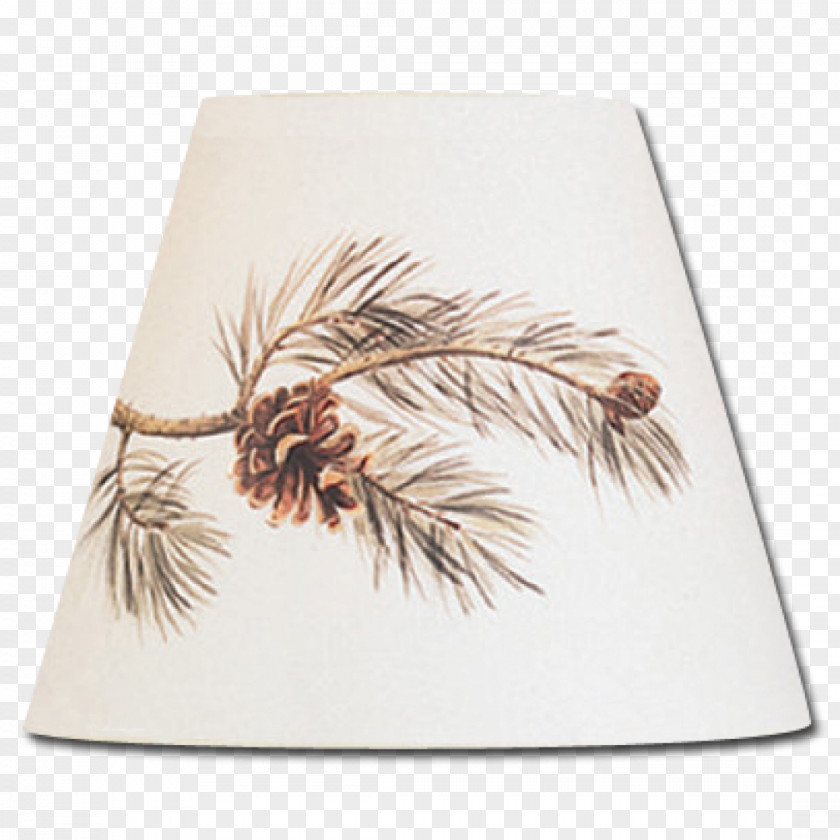 Pine Cone Light Fixture Lamp Shades Window Blinds & Pendant PNG