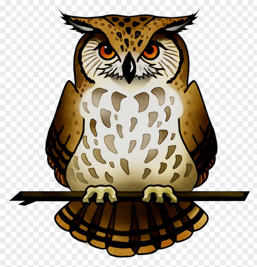 Tawny Owl Snowy Eurasian Eagle-owl Bird PNG