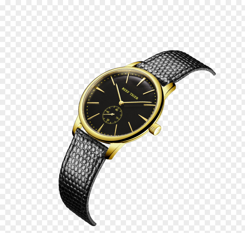Watch Strap Tiger Patek Philippe & Co. Clock PNG