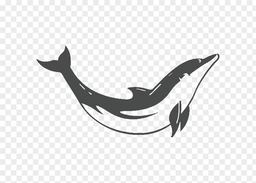 Dolphin Wall Decal Sticker PNG