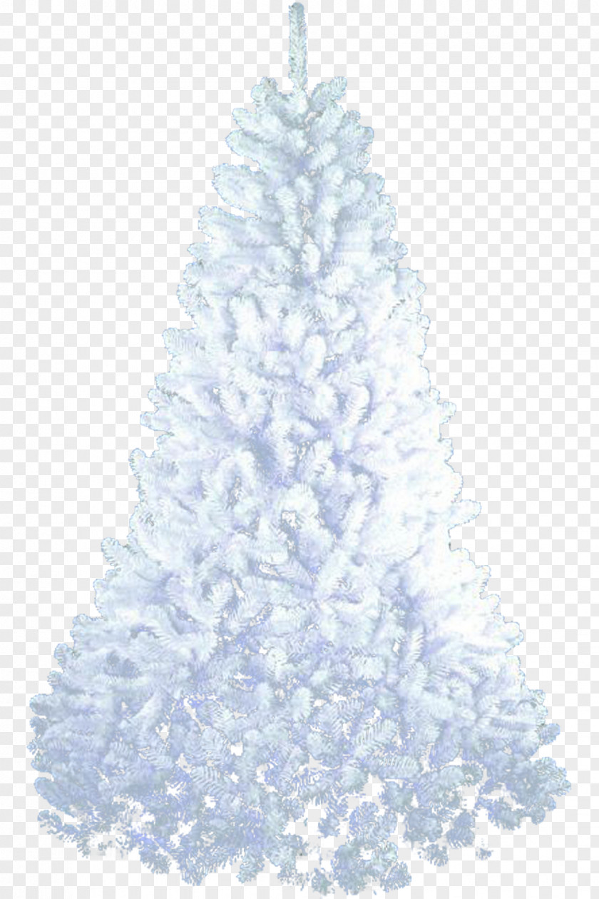 Fir-tree Christmas Tree Fir Desktop Wallpaper PNG