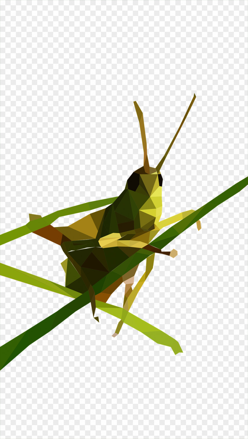 Green Grasshopper Low Poly Clip Art PNG