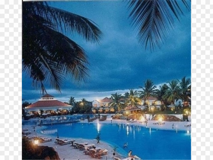 Hotel Resort Loews Portofino Bay At Universal Orlando The Golden Palms & Spa Swimming Pool PNG