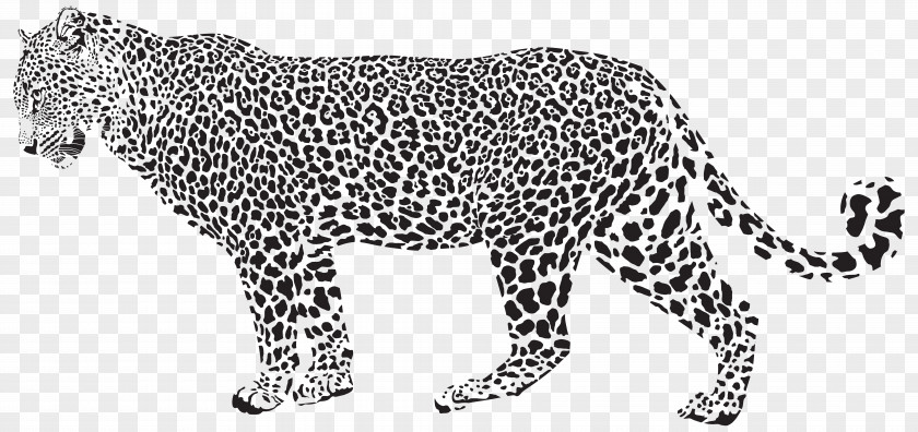 Jaguar Silhouette Transparent Clip Art Image Snow Leopard Cheetah PNG