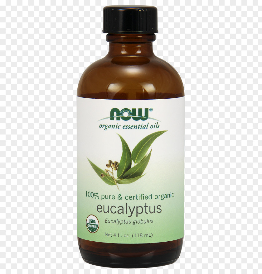 Oil Eucalyptus Tasmanian Blue Gum Essential Food PNG