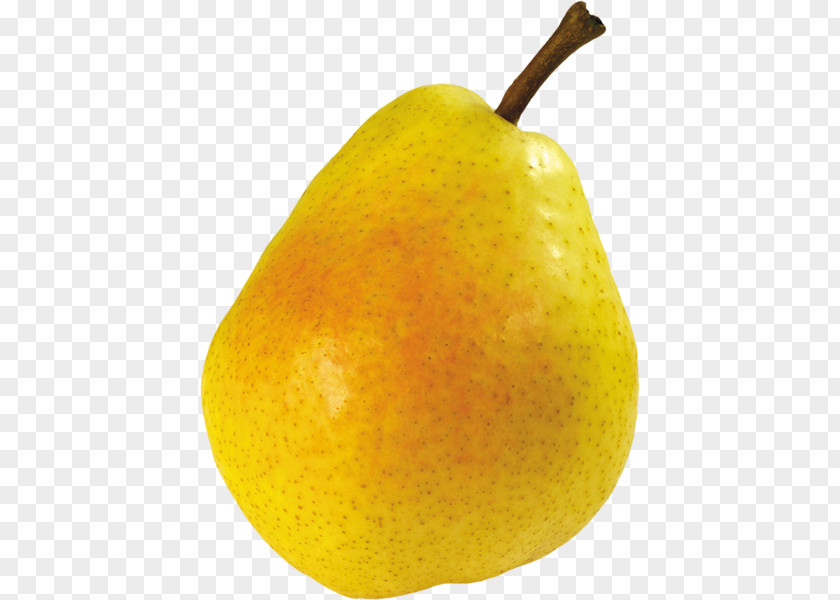 Pear Image File Formats PNG
