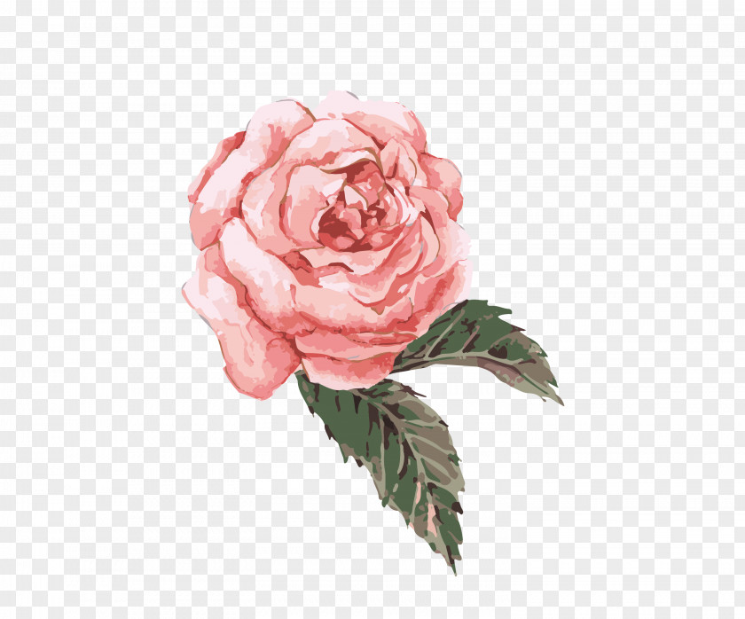 Rose Watercolor: Flowers Watercolor Painting Clip Art PNG