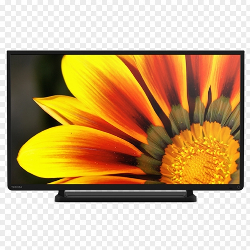 1080p High-definition Television LED-backlit LCD Toshiba TV PNG