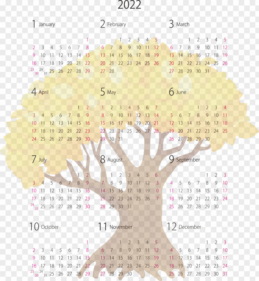 Calendar System Font Line Meter Pattern PNG