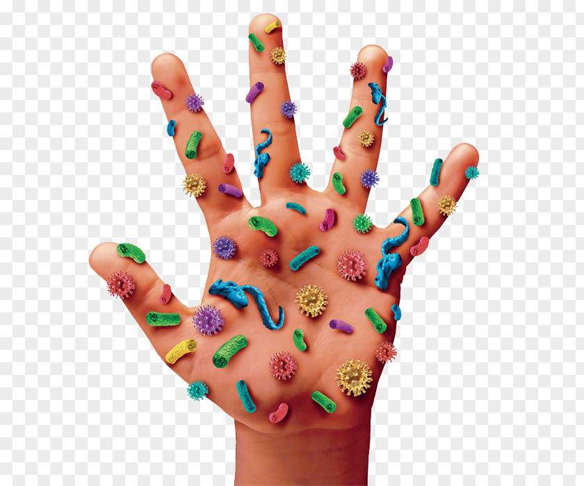 Hand Print Centers For Disease Control And Prevention Infection Health Care Infectious PNG