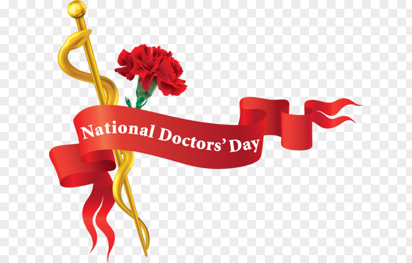 Health National Doctors' Day Physician Clip Art PNG