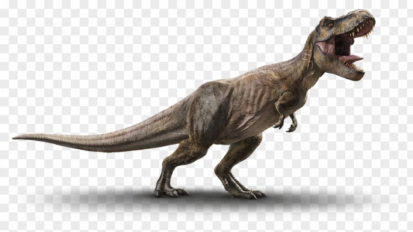 Jurassic Park Tyrannosaurus Velociraptor Triceratops Dinosaur PNG