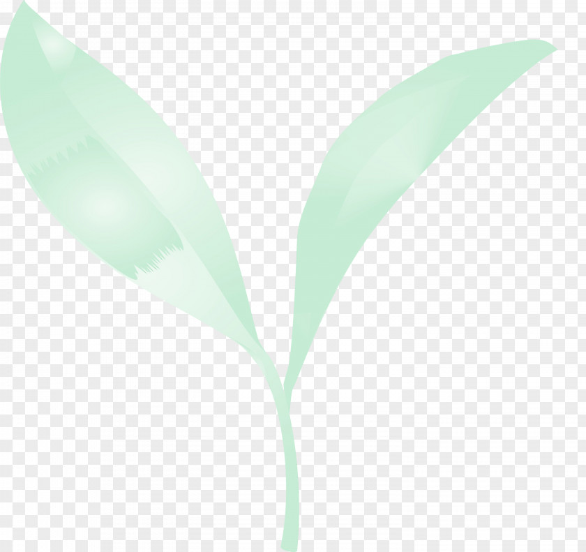 Leaf Green Plant Lily Of The Valley Flower PNG