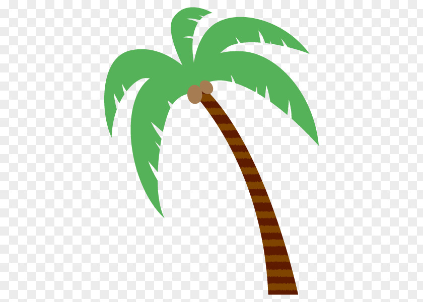 Palm Trees Vector Graphics Coconut Design PNG