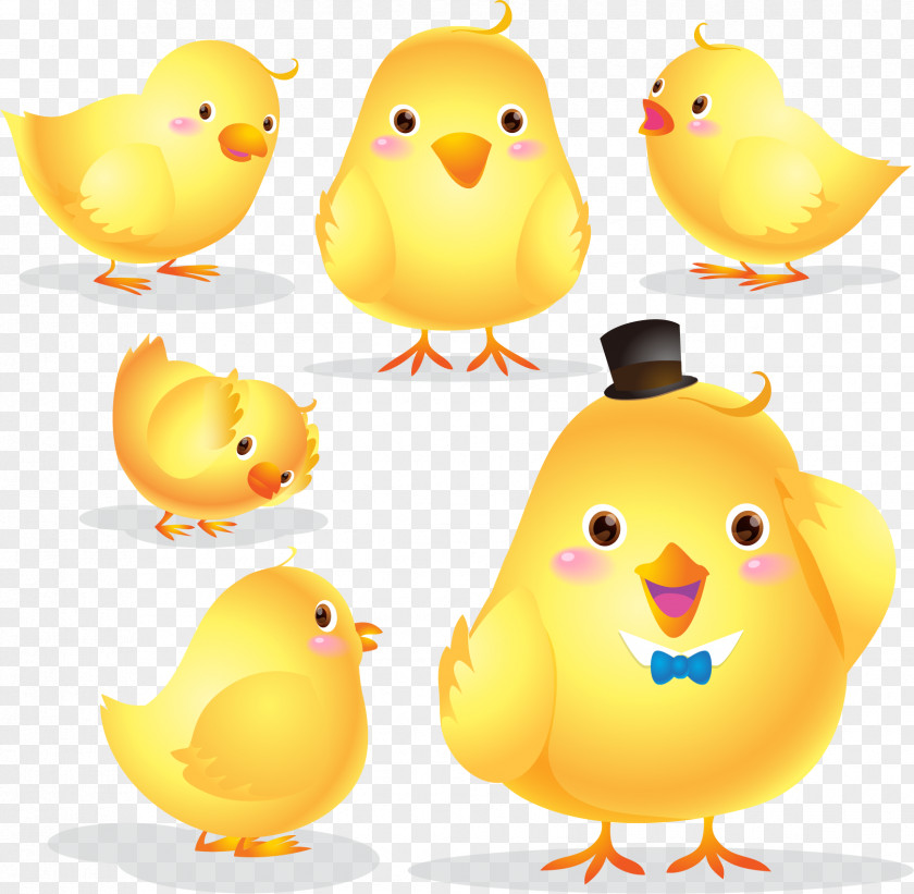 Cute Little Yellow Chicken Poster Cartoon Illustration PNG