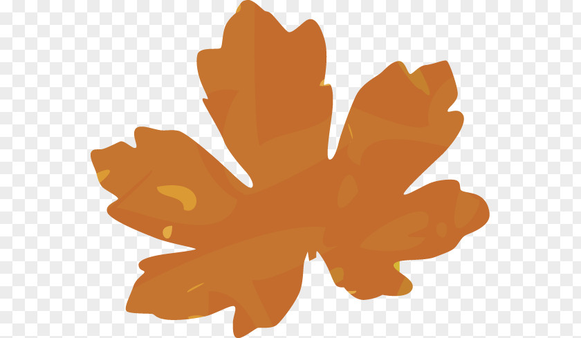 Family Border Petal Leaf Flowering Plant PNG