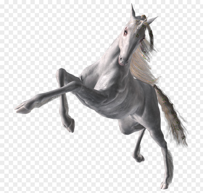 Horse Halter Mane Stallion Unicorn PNG