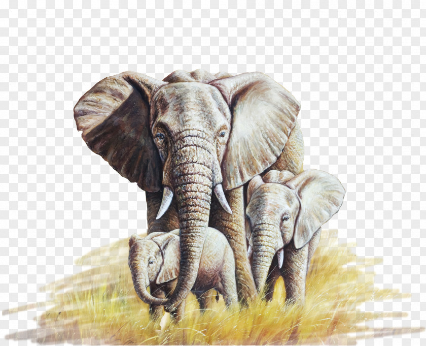 Oil Elephant African Painting Canvas PNG