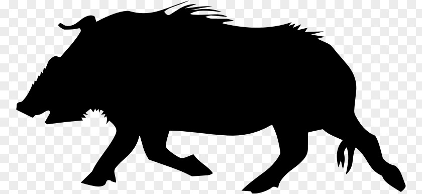 Wild Boar Common Warthog Clip Art PNG