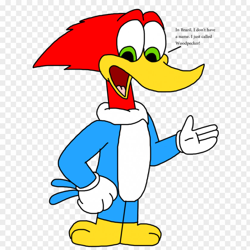 Woody Woodpecker Brazil Winnie Universal Pictures PNG