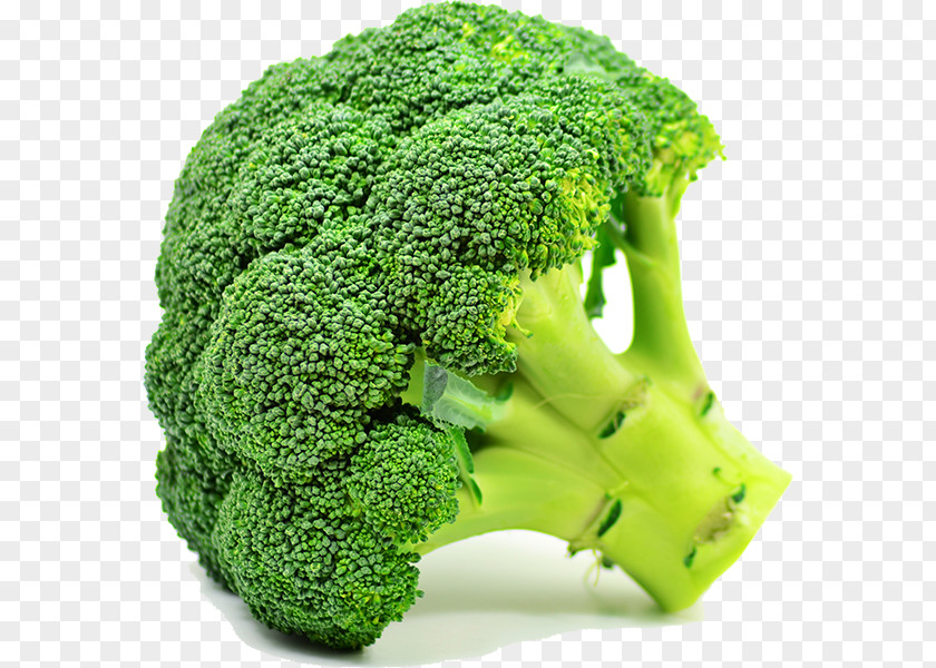 Broccoli Organic Food Vegetable Produce Vegetarian Cuisine PNG