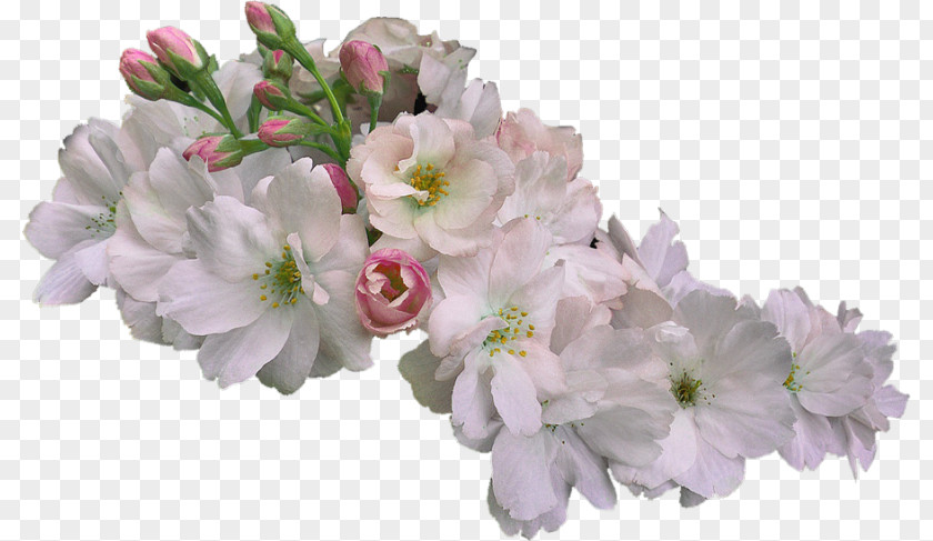 Floral Design Creative Plants Flower White PNG