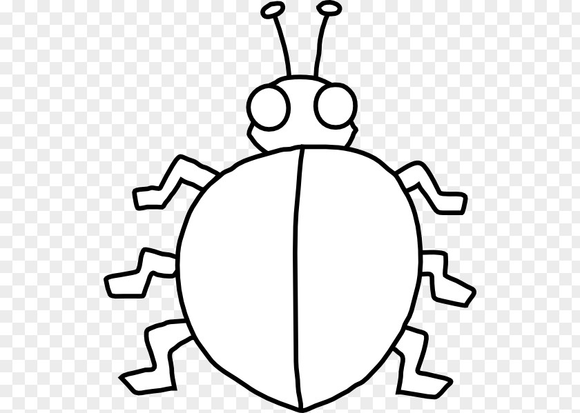 Insect Black And White Clip Art PNG