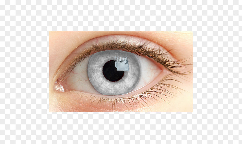 Light Human Eye Iris Retina PNG