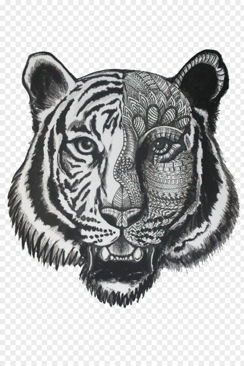 Tiger Drawing Coloring Book Doodle Lion PNG