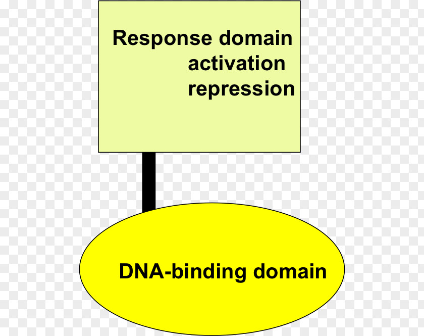 Transcription Factor Line Angle Brand Donation Font PNG