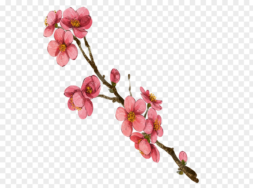 Watercolor Plum Painting Blossom PNG