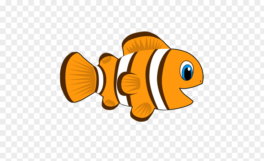 Anemone Fish Clownfish Pomacentridae PNG