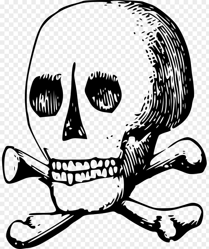 Bones Bone Skeleton Skull Clip Art PNG