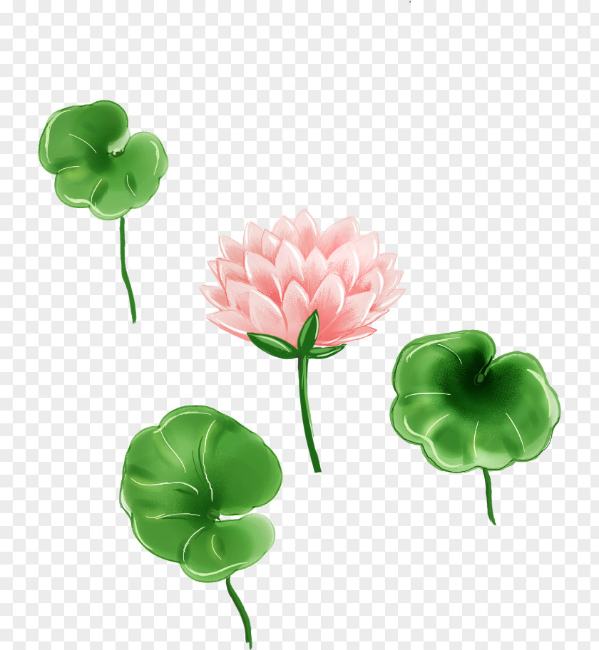 Cartoon Painted Lotus Fresh Leaf PNG