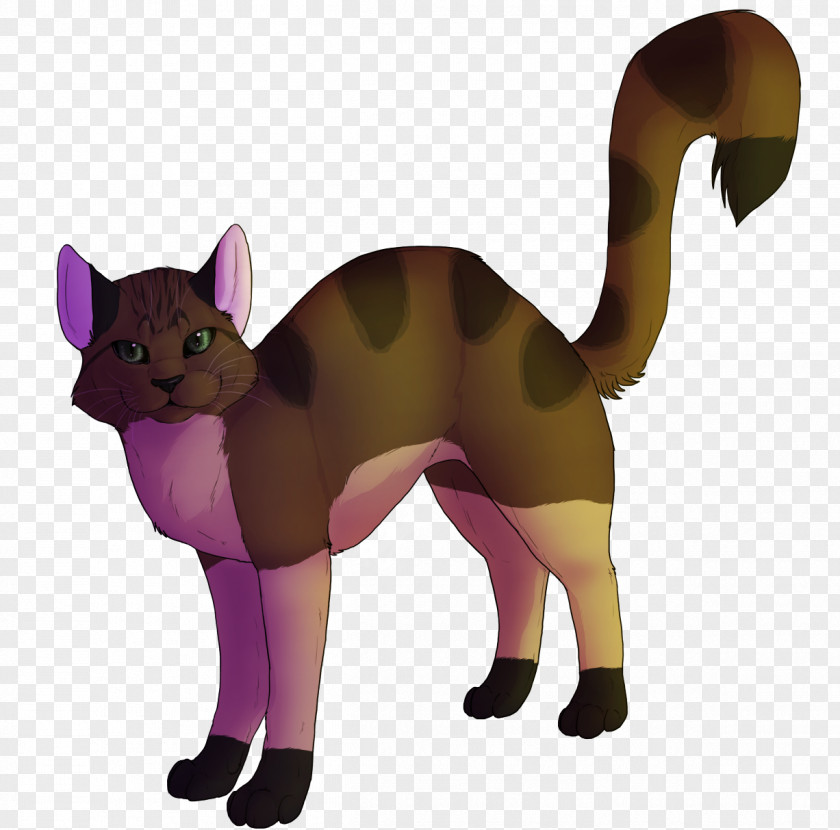 Cat Whiskers Paw Cartoon Tail PNG