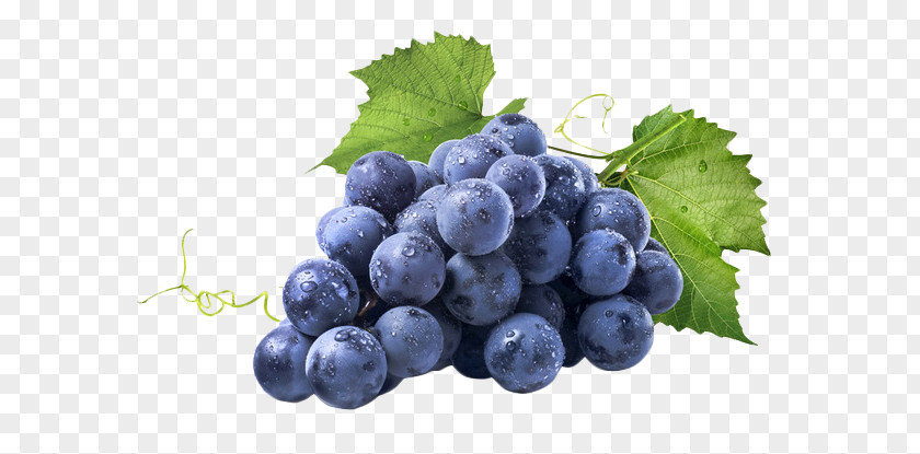 Fresh Purple Grapes Red Wine Common Grape Vine Muscadine PNG