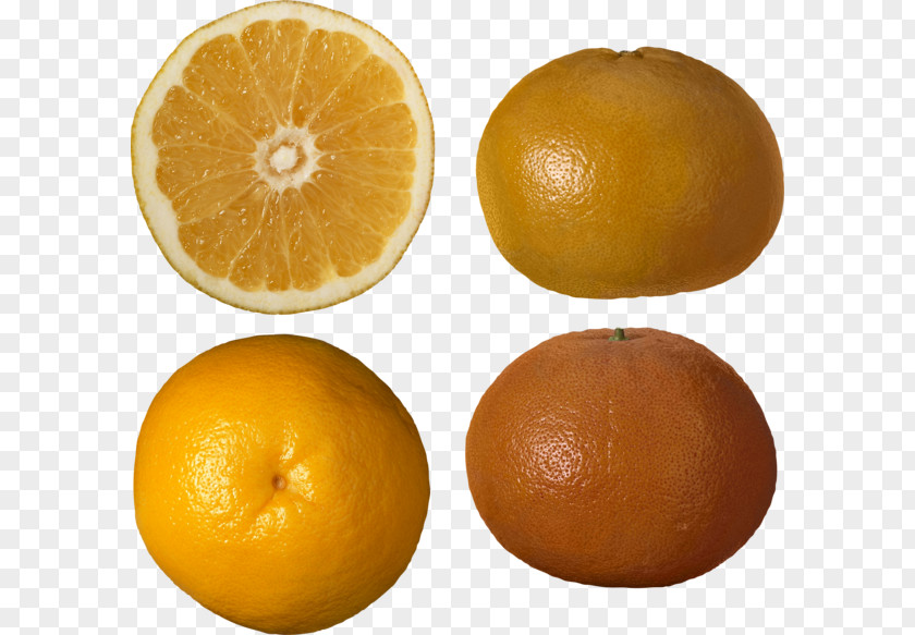 Grapefruit Clementine Tangerine Tangelo Sweet Lemon PNG