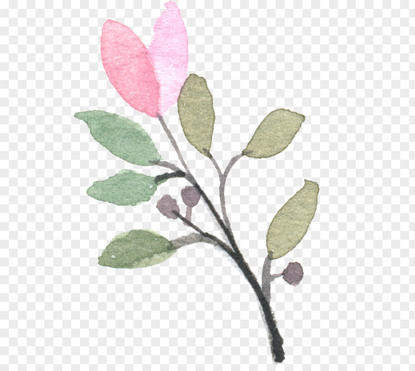 Hand-painted Plants Modern Watercolor: A Playful And Contemporary Exploration Of Watercolor Painting Pink PNG