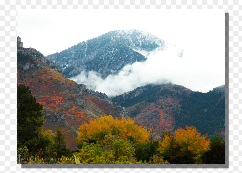 Multipeaked Mountains Mount Scenery Vegetation Wilderness Biome National Park PNG