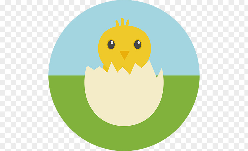 Organism Smile Beak PNG