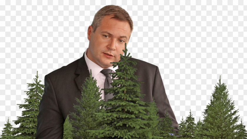 Tree Suit Forest PNG