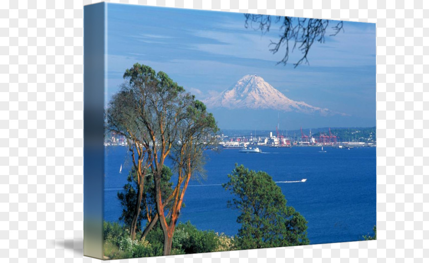 Vacation Mount Rainier Salish Sea Gallery Wrap Canvas Art PNG