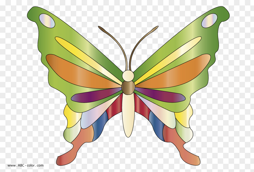 Butterfly Monarch Drawing Clip Art PNG