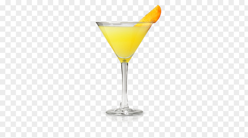 Punch Cocktail Garnish Martini Harvey Wallbanger Fuzzy Navel Sea Breeze PNG